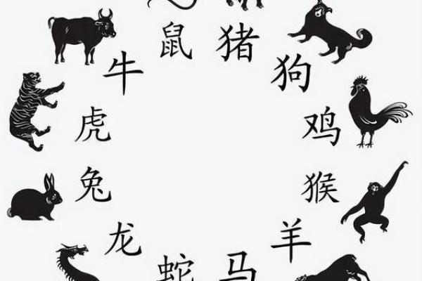 2025年属兔的年龄表 2024年属兔的年龄表