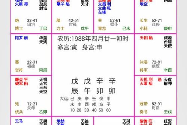 2025年3月11日子时女命紫微斗数全解盘