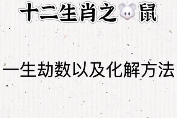 属鼠的人今日运势十二星座网_属相属鼠的人今日运势 属鼠的人今日运势十二星座网_属相属鼠的人今日运势