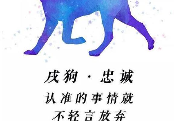 属狗的2025年运势解析事业财运感情全攻略 属狗的2025年运势解析事业财运感情全攻略
