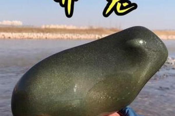 点石成金打一最佳生肖