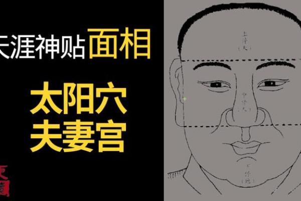 夫妻宫对宫是哪一宫_夫妻宫对宫解析揭秘婚姻运势的关键宫位 夫妻宫对宫是哪一宫_夫妻宫对宫解析揭秘婚姻运势的关键宫位