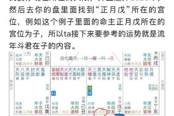 2025年2月21日丑时男命紫微斗数全解盘