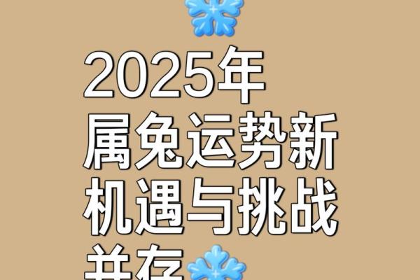 2025年属兔男1987年出生全年运势详解 2025年属兔男1987年出生全年运势详解