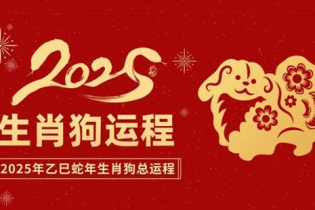 82年属狗人今年的财运_82年属狗人2023年财运解析运势如何