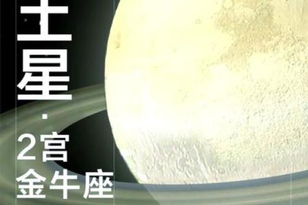 财帛宫天魁旺 财帛宫天魁旺揭秘财富运势与投资良机