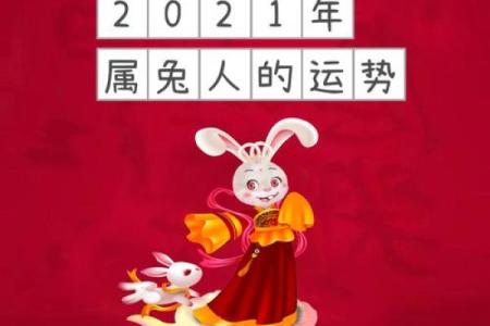 属兔人2021年开店