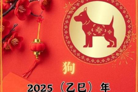 2025年属狗运势解析事业财运感情全攻略