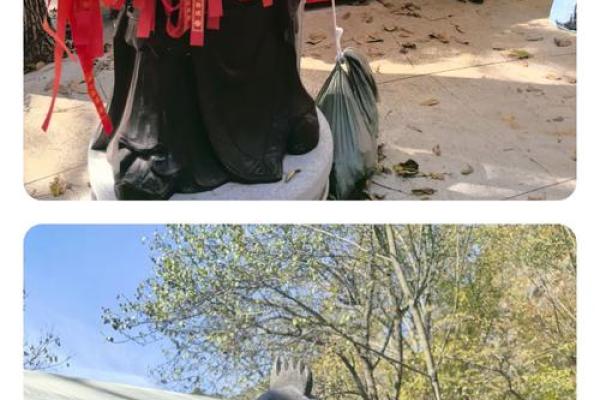 五指山上人中人是什么生肖 五指山上人中人是什么生肖