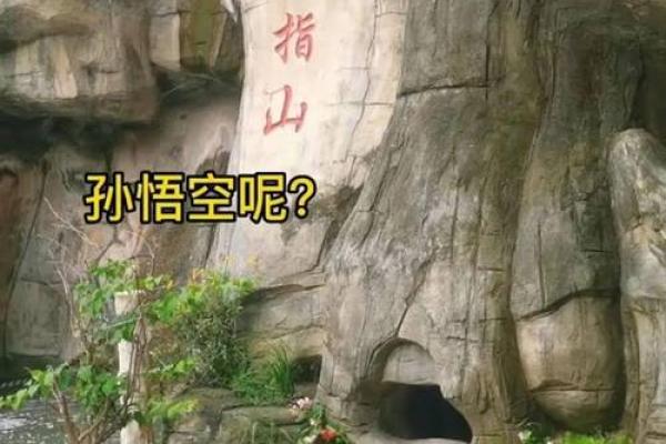 五指山上人中人是什么生肖 五指山上人中人是什么生肖