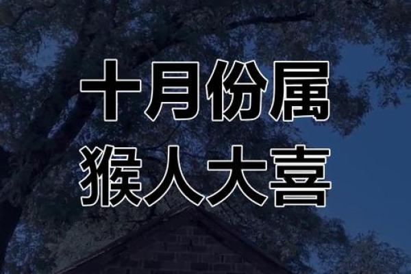 属猴人2013年运势 属猴人2013年运势