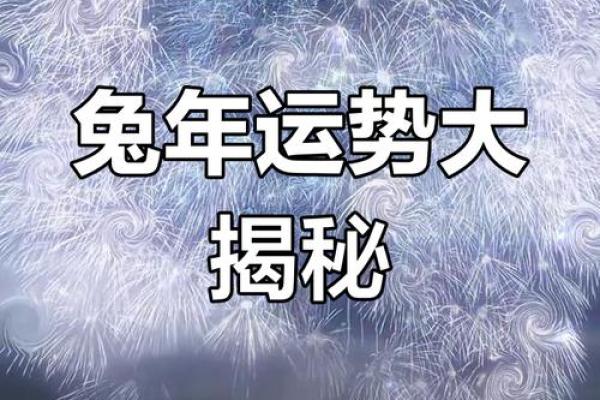 2026年属兔人全年运势详解财运事业感情全解析 2026年属兔人全年运势详解财运事业感情全解析