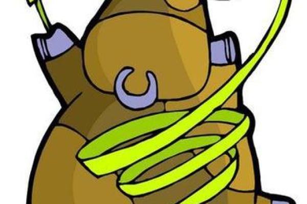 心狠手辣的动物是什么生肖 心狠手辣的动物是什么生肖