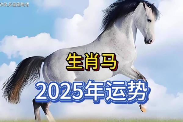 2025年属马五行属什么 2025年属马五行属什么