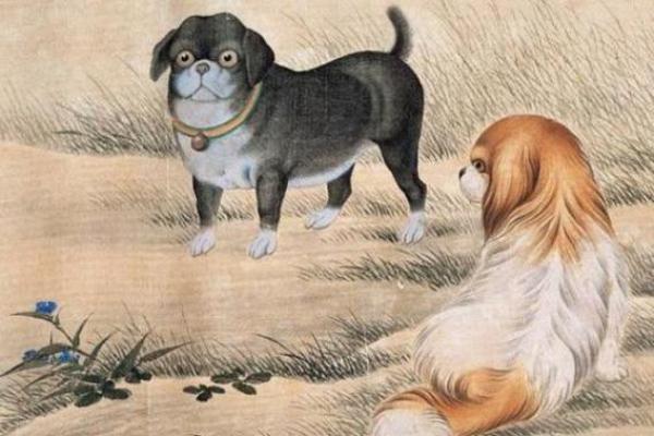 1970年属狗人一生运势如何 1970年属狗的人2021年运程十二生肖网 1970年属狗人一生运势如何 1970年属狗的人2021年运程十二生肖网