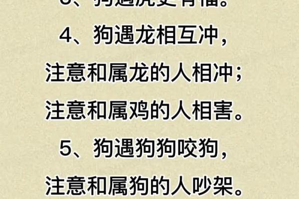2025年属狗人运势详解事业财运爱情全解析 2025年属狗人运势详解事业财运爱情全解析