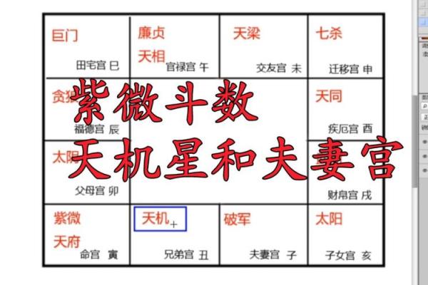夫妻宫天月解析婚姻运势与命理奥秘 夫妻宫天月解析婚姻运势与命理奥秘