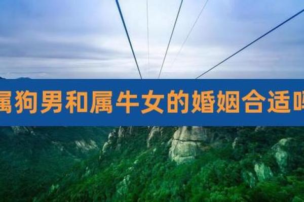 属狗男与属羊女婚配好不好 属狗男和属羊女合得来吗 属狗男与属羊女婚配好不好 属狗男和属羊女合得来吗