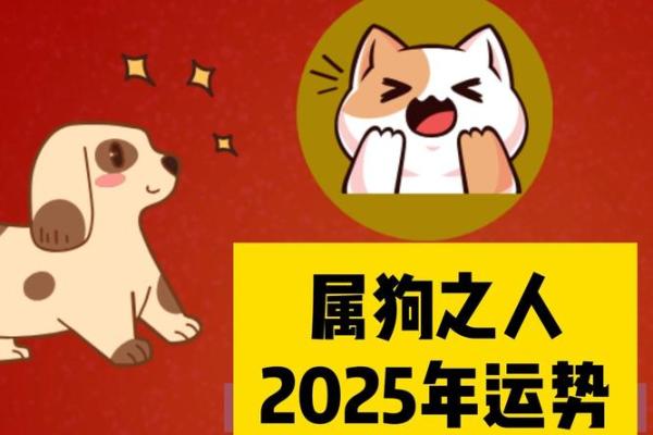 2025年属狗人几岁年龄计算与运势解析 2025年属狗人几岁年龄计算与运势解析