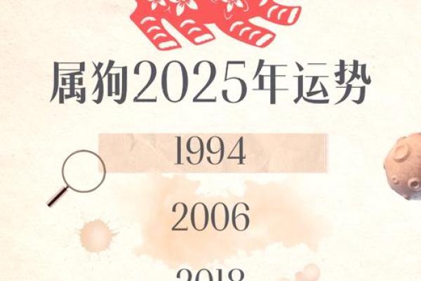 2030年属狗是什么命 1982年属狗2025年运势完整版 2030年属狗是什么命 1982年属狗2025年运势完整版
