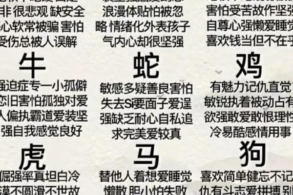 酌金馔玉是什么生肖