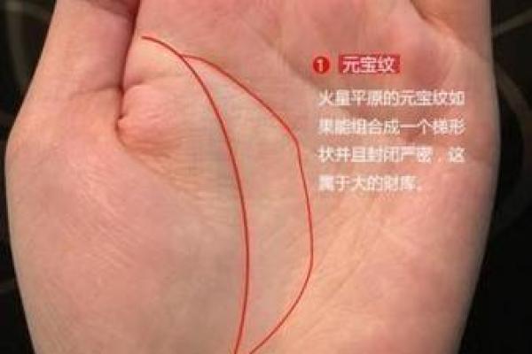 地空在子女宫是什么意思_地空 子女宫