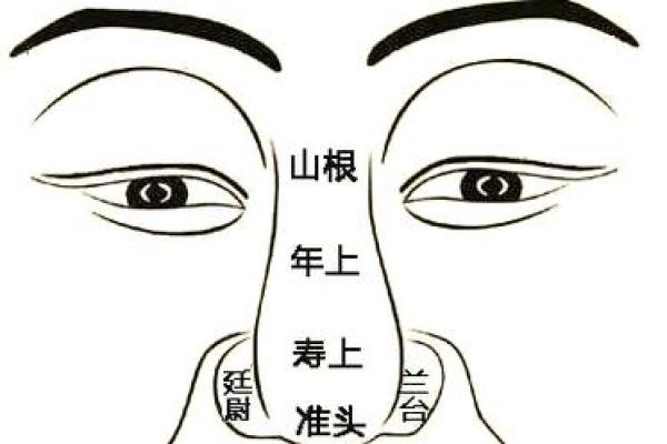 地空入疾厄宫命理解析与运势影响 地空入疾厄宫命理解析与运势影响