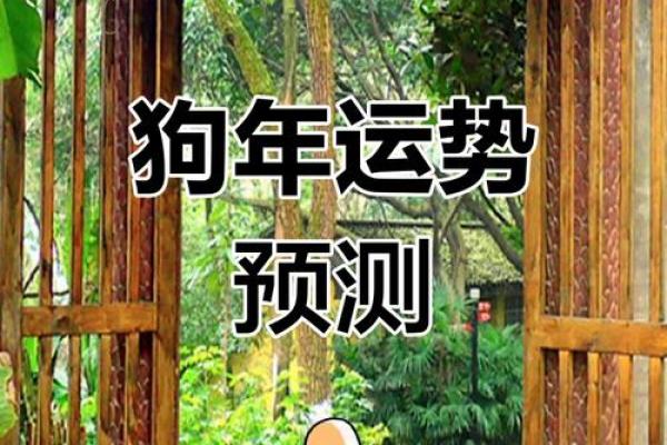 2025年属狗运程_2025年属狗运程完整版 2025年属狗运程_2025年属狗运程完整版