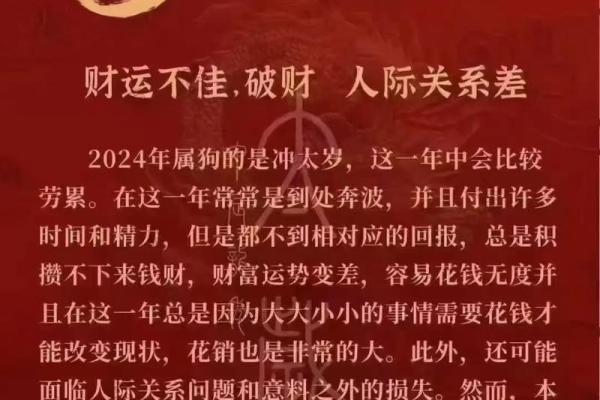 1982年属狗男2025年运势详解事业财运感情全解析 1982年属狗男2025年运势详解事业财运感情全解析