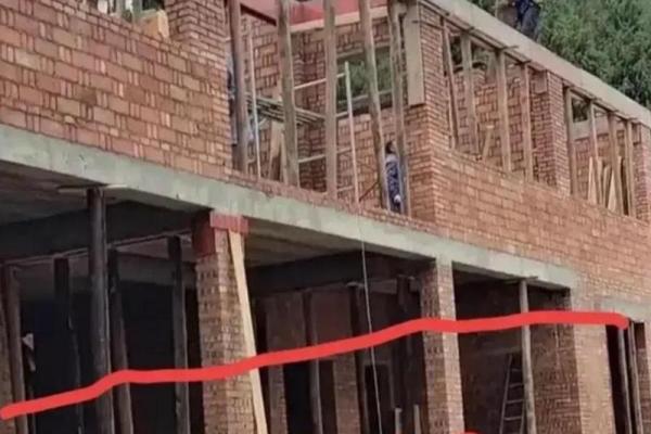 上梁不正下梁歪指什么生肖