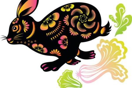 87年属兔25年运势解析未来25年运势走向与机遇