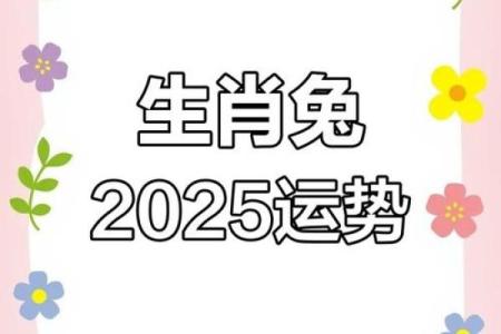 2025年兔生肖运势 2025年运势兔生肖运势详解