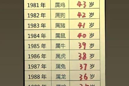 1893年属什么生肖
