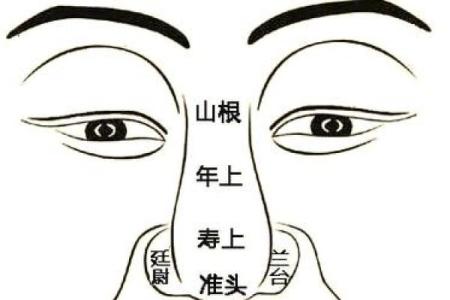 地空入疾厄宫命理解析与运势影响