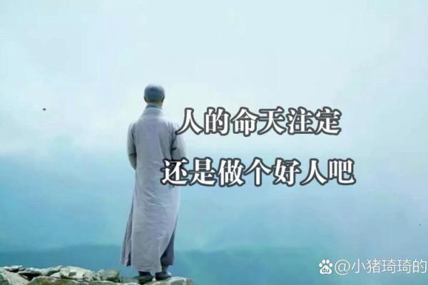 无家可归打一生肖 无家可归打一生肖