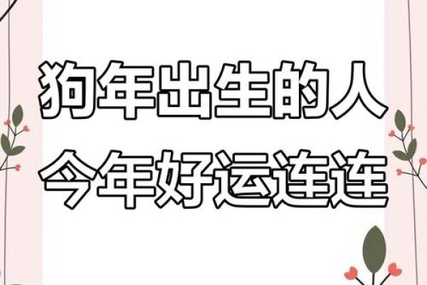 2025年属狗女1982全年运势_2025年属狗女1994年运势 2025年属狗女1982全年运势_2025年属狗女1994年运势