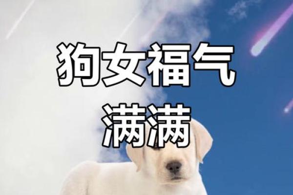 属狗女的命运怎么样_属狗的女生命运好不好 属狗女的命运怎么样_属狗的女生命运好不好