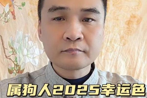 属狗的2025多大年龄了_2025年属狗的人多大年龄详细年龄计算指南 属狗的2025多大年龄了_2025年属狗的人多大年龄详细年龄计算指南