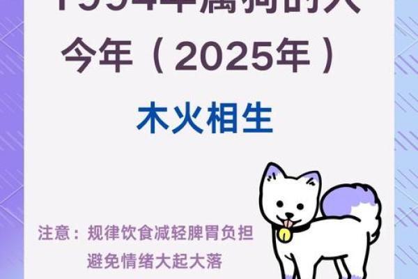 2025年属狗的运气 2025年属狗运势详解财运事业感情全解析 2025年属狗的运气 2025年属狗运势详解财运事业感情全解析