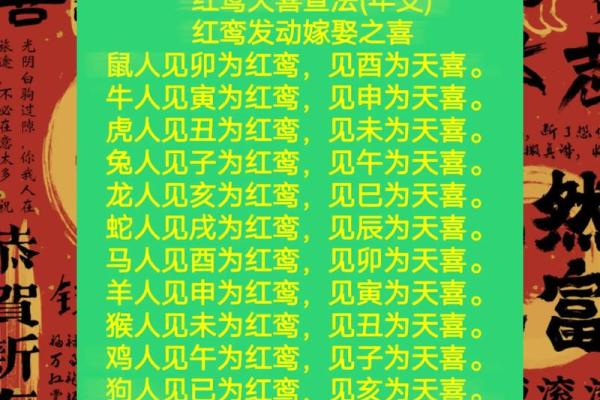 属狗2025年遇天喜 属狗2025年天喜星降临运势大爆发