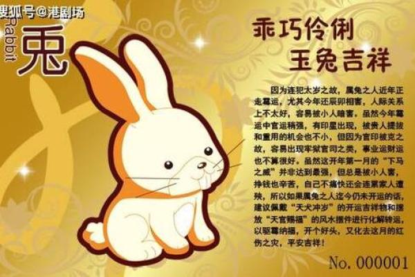 2025年属兔人的全年每月_2025年属兔人的全年每月运势 2025年属兔人的全年每月_2025年属兔人的全年每月运势