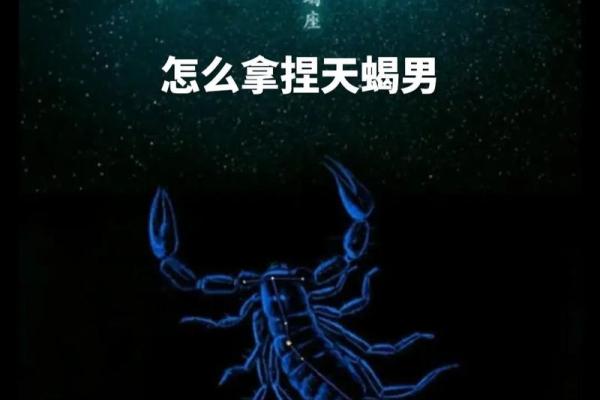 星座塔罗天蝎座今日运势_星座塔罗天蝎座今日运势如何
