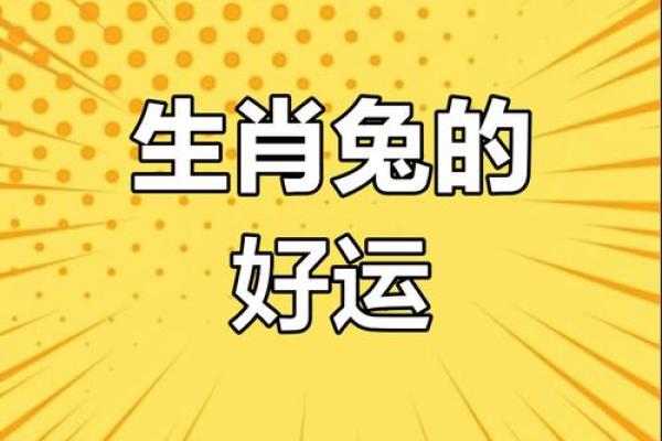 75属兔的今年每月运势怎么样_2023年75属兔每月运势详解全年运程大揭秘 75属兔的今年每月运势怎么样_2023年75属兔每月运势详解全年运程大揭秘