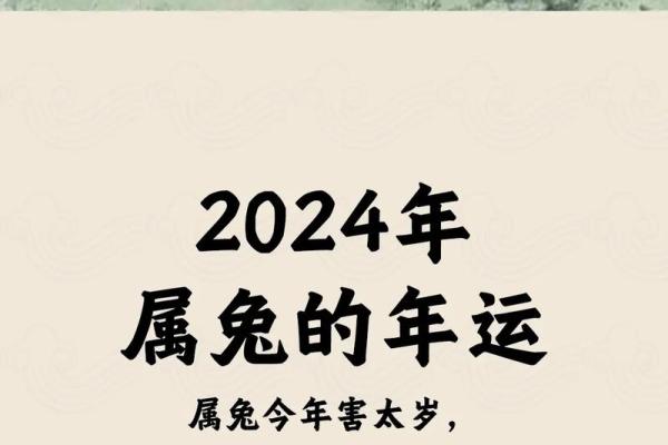 99年属兔2025运势_99年属兔到25岁的运势 99年属兔2025运势_99年属兔到25岁的运势
