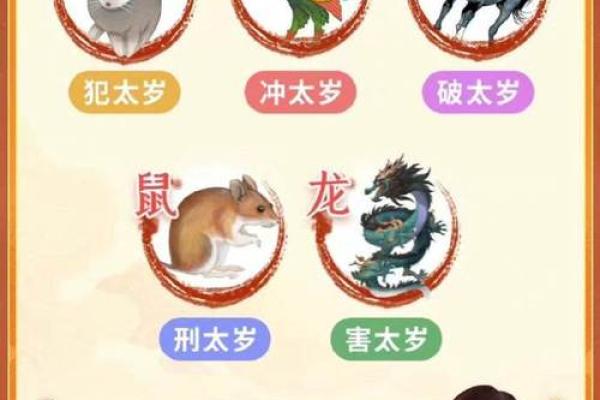 二八佳人是什么生肖