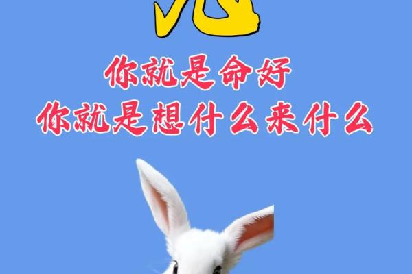 1975年兔今年运气 1975年兔今年运气五月出生好吗 1975年兔今年运气 1975年兔今年运气五月出生好吗