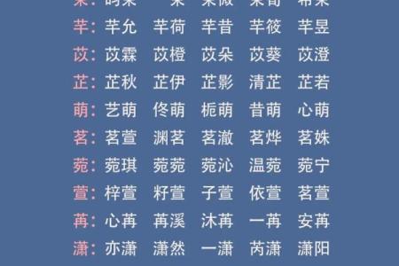 2025年兔宝宝几月出生最好(2025年兔宝宝几月出生最好命)