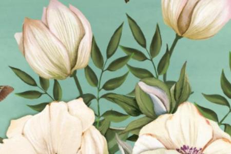 1975的兔女今年运气如何_1975属兔50岁以后运气如何