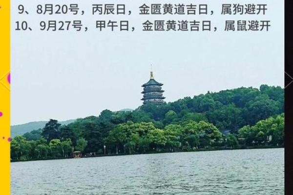 属龙的今年结婚吉日 属龙的今年结婚吉日