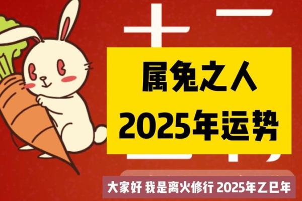 属兔的2025年多大岁数 2025年属兔的人的全年运势 属兔的2025年多大岁数 2025年属兔的人的全年运势